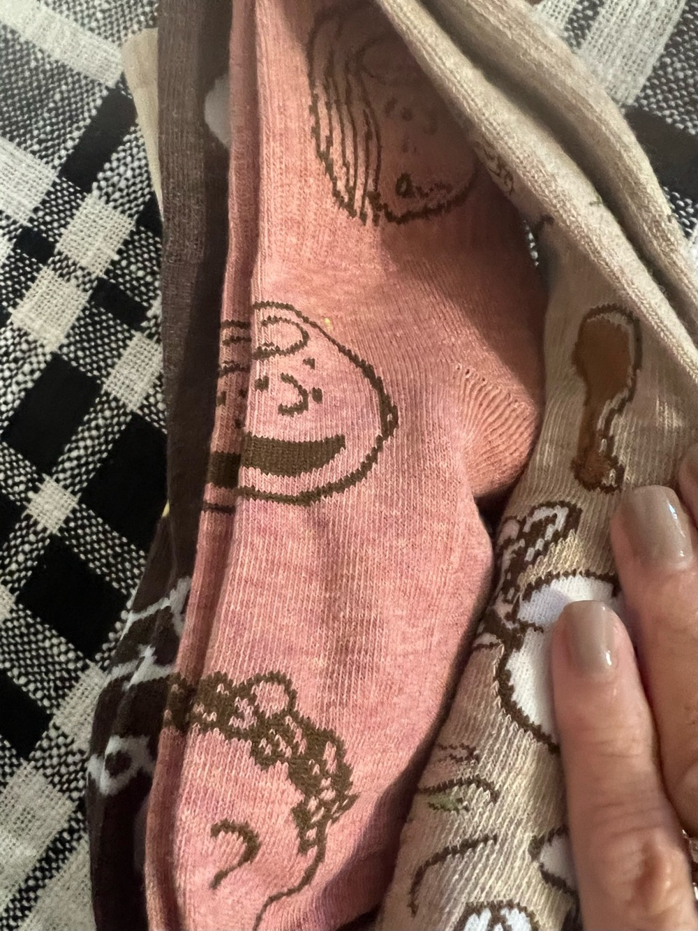 Peanuts Women’s 5 Pairs- Beige & Brown Harvest Crew Socks - Snoopy & Friends - Picture 9 of 11